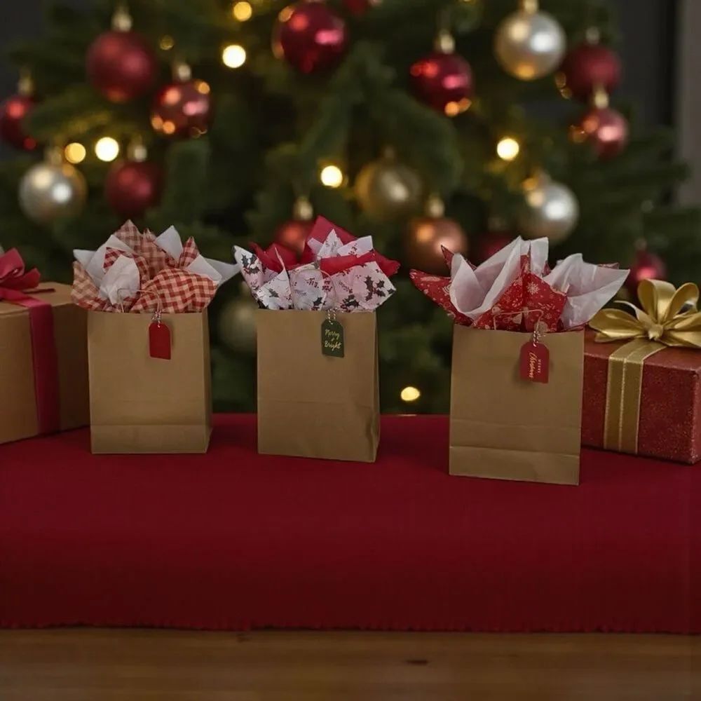 XMS 1 br 1 Set of 3 Gift Bags-All in One Festive Gift Bag Set